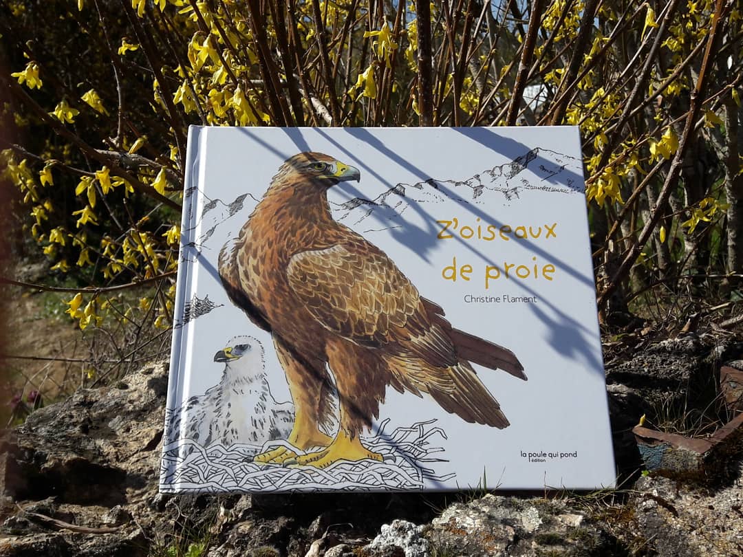la_limou's tweet photo. Lecture du moment, focus sur les magnifiques livres de @LaPouleQuiPond : Z'oiseaux de proie, de Christine Flament.

https://t.co/4gfYRD3IIl

#lecture #litteraturejeunesse #album #illustration #animaux #oiseaux #proies #rapaces #nature #enfants #clermontferrand #librairie #Creuse https://t.co/r8F6P6cwdd