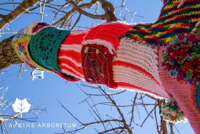 Summer camp is back! Register today. Plus more news from Adkins Arboretum. conta.cc/3soIR4Y