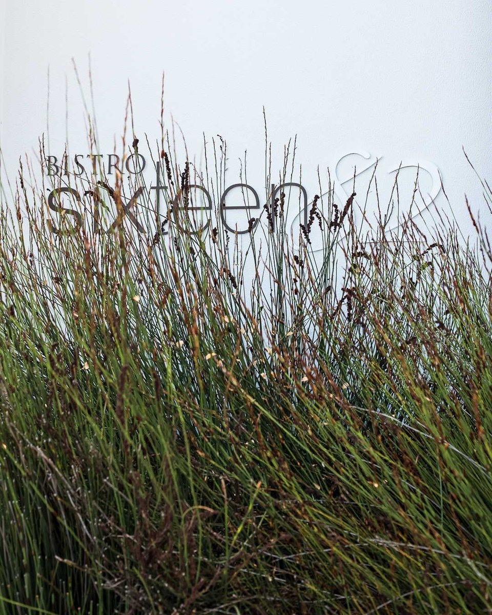 The Little Hedonist tweet media