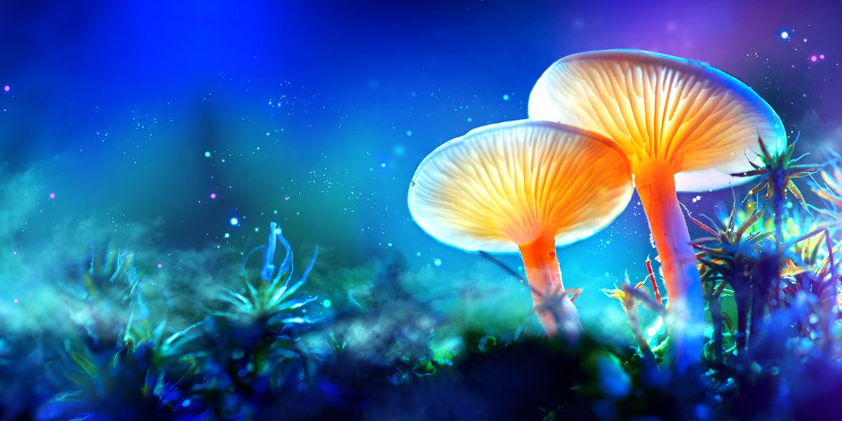 Jitibuy1's tweet photo. Psychedelics for Obsessive-Compulsive Disorder https://t.co/he1OQ0i2sE https://t.co/yI1B1dTSXz