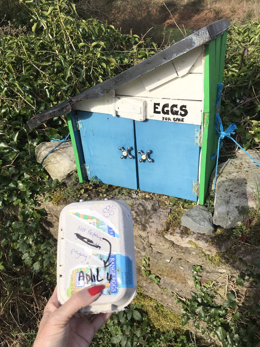 todayInIreland's tweet photo. 🥚 Today I remembered to bring money!
Shop local. 
I mean 
REALLY 
local. 🥚 
Waterville fresh egg drop on my #100daysofwalking - #lifeisgood 
#farming #eggday #SkelligCoast #honestyhour https://t.co/WsjVv6Xeo0
