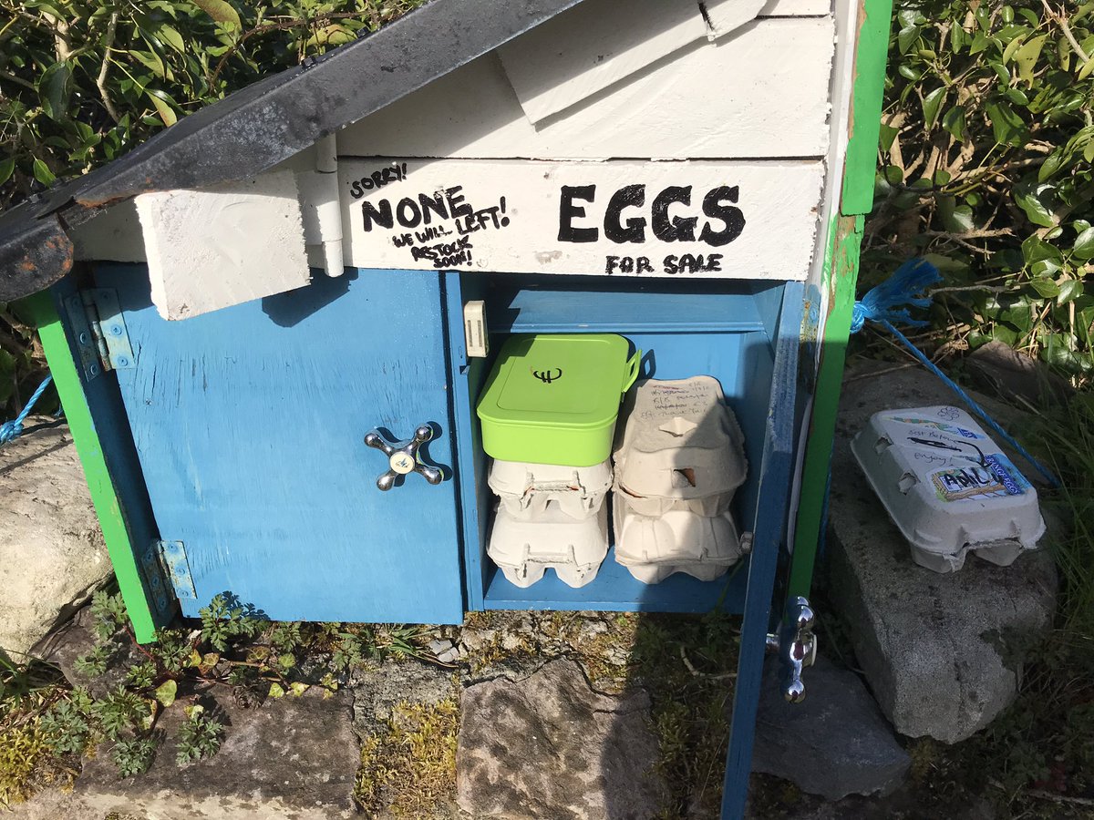 todayInIreland's tweet photo. 🥚 Today I remembered to bring money!
Shop local. 
I mean 
REALLY 
local. 🥚 
Waterville fresh egg drop on my #100daysofwalking - #lifeisgood 
#farming #eggday #SkelligCoast #honestyhour https://t.co/WsjVv6Xeo0
