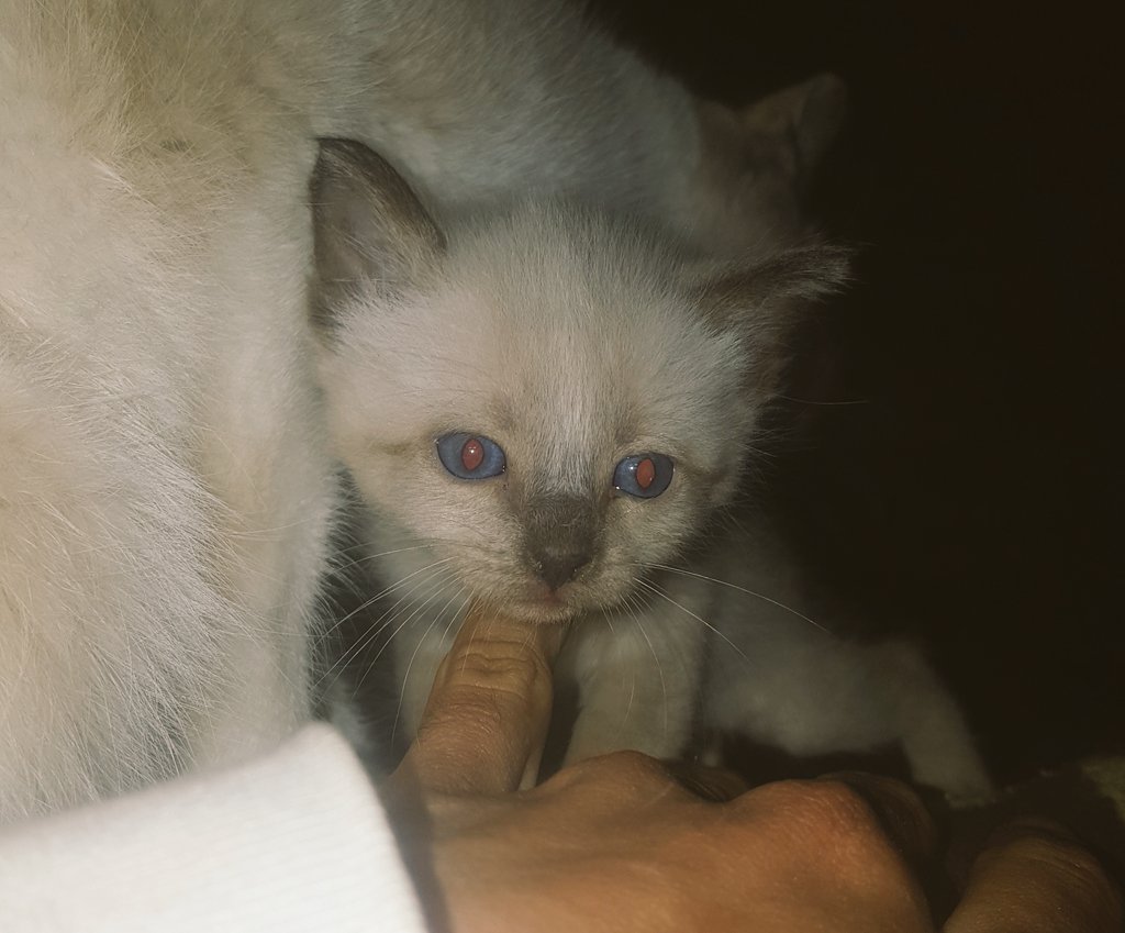 lmsheysh's tweet photo. Sbah lkhir 😍 https://t.co/C4Mw06Oq8O
