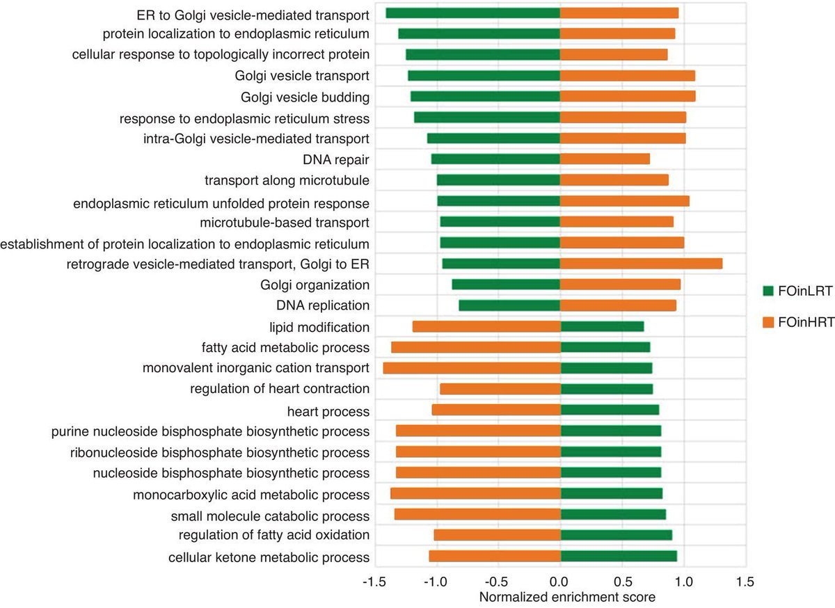 Experimental Physiology (@expphysiol) on Twitter photo Low responders to endurance training exhibit impaired hypertrophy and divergent biological process responses in rat skeletal muscle <a href="/ThomasMDoering/">Thomas Doering</a> <a href="/jlee_thompson/">Jamie-Lee Thompson</a> <a href="/bbud02/">Brett Buddendorff</a> @RolandSteck buff.ly/3bMh07T Low responders to endurance training exhibit impaired hypertrophy and divergent biological process responses in rat skeletal muscle <a href="/ThomasMDoering/">Thomas Doering</a> <a href="/jlee_thompson/">Jamie-Lee Thompson</a> <a href="/bbud02/">Brett Buddendorff</a> @RolandSteck buff.ly/3bMh07T