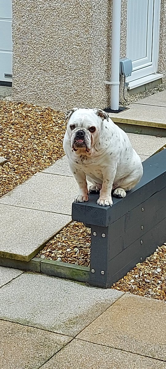 Plonker is stuck... joys of working from home.