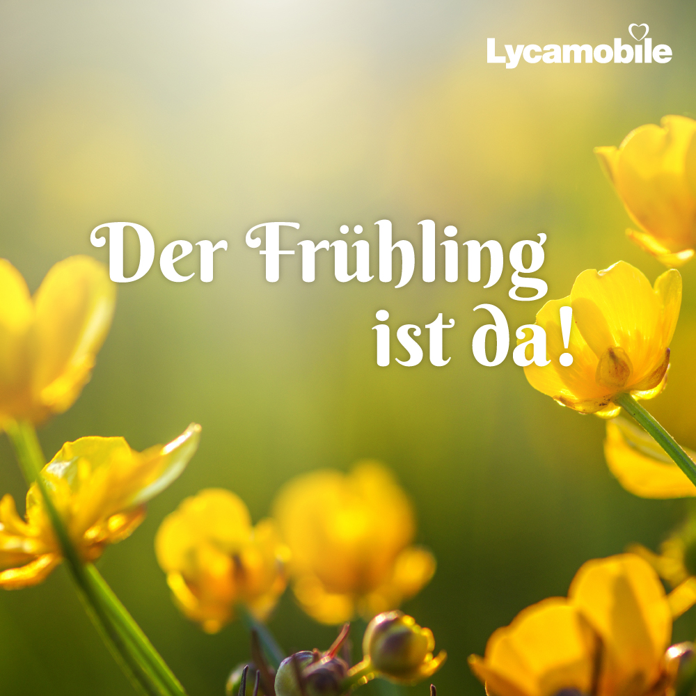 Strahlender Sonnenschein und Kirschblüten, es ist eine glückliche Jahreszeit aus vielen Gründen.'

Sagen Sie uns, was Sie in diesem #Frühling noch glücklicher macht? 

1.Bilder/Videos von Blumen mit Ihren Lieben teilen

2.Frühlingsgarderobe online einkaufen