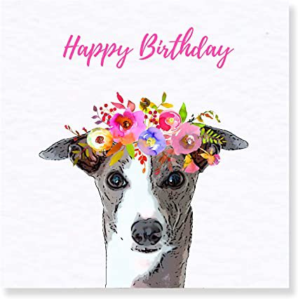 Romforddogs123's tweet photo. Wishing our Romford trainer Maxine Locke a lovely day from everyone @RomfordDogs https://t.co/Kx1MOouN8J
