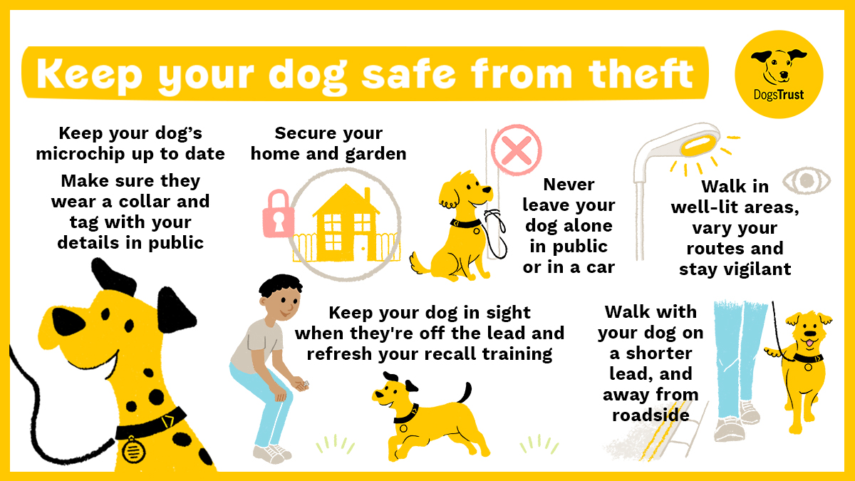 Losing your dog or having them taken from you, is an unbearable thought. Each year, 2,000 dogs are stolen in the UK &amp; there are reports that this is on the rise during the pandemic.
Follow these safety tips and share them with other dog owners 🐶💛
👉 bit.ly/3995Eu1