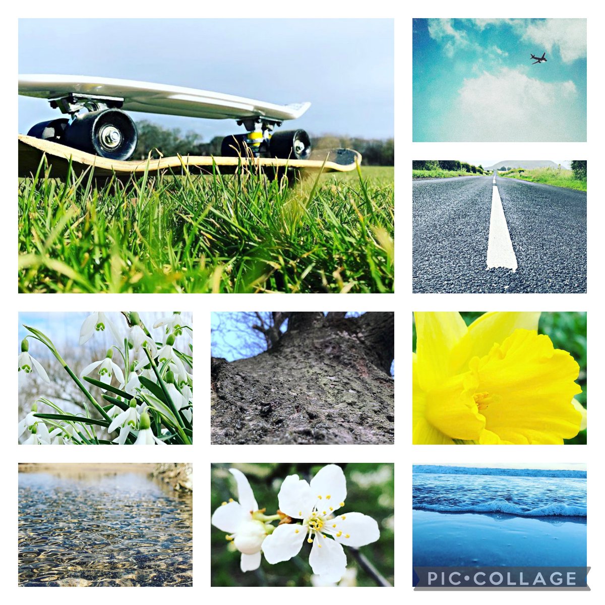 ART &amp; DESIGN: More amazing examples of S1 Photography Scavenger Hunt assignments.  Amazing colours and compositions. <a href="/BroHighOfficial/">Broughton High</a> <a href="/browildness/">Broughton Wildness</a>