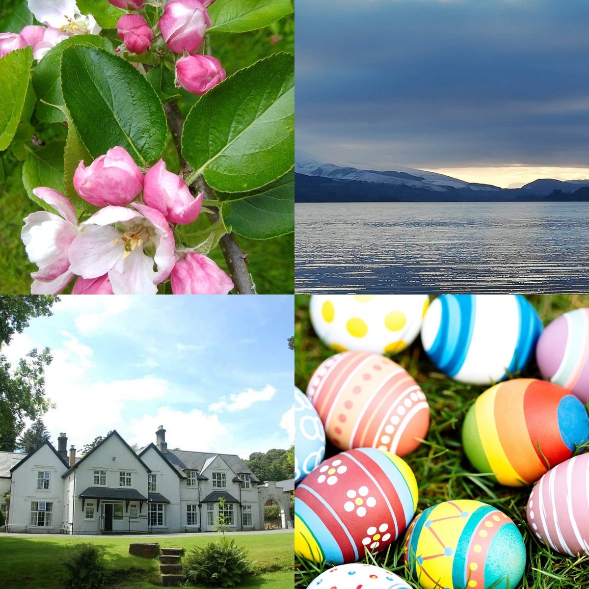 Brynygroes1's tweet photo. Easter Availability. Last minute holiday? In anticipation of the StayLocal restrictions being lifted in Wales on Sat 27th March, we can offer self-contained self-catering accommodation for one household only. You'll have full use of our grounds and play areas. https://t.co/1SL1MFKWZi