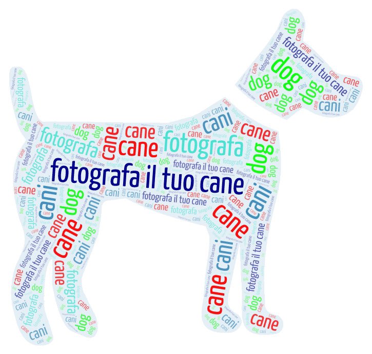 giringiro's tweet photo. Conoscete il sito https://t.co/U81BSZS1B3 #instagram #flickr #fotografailtuocane https://t.co/YmGCIG3Njs