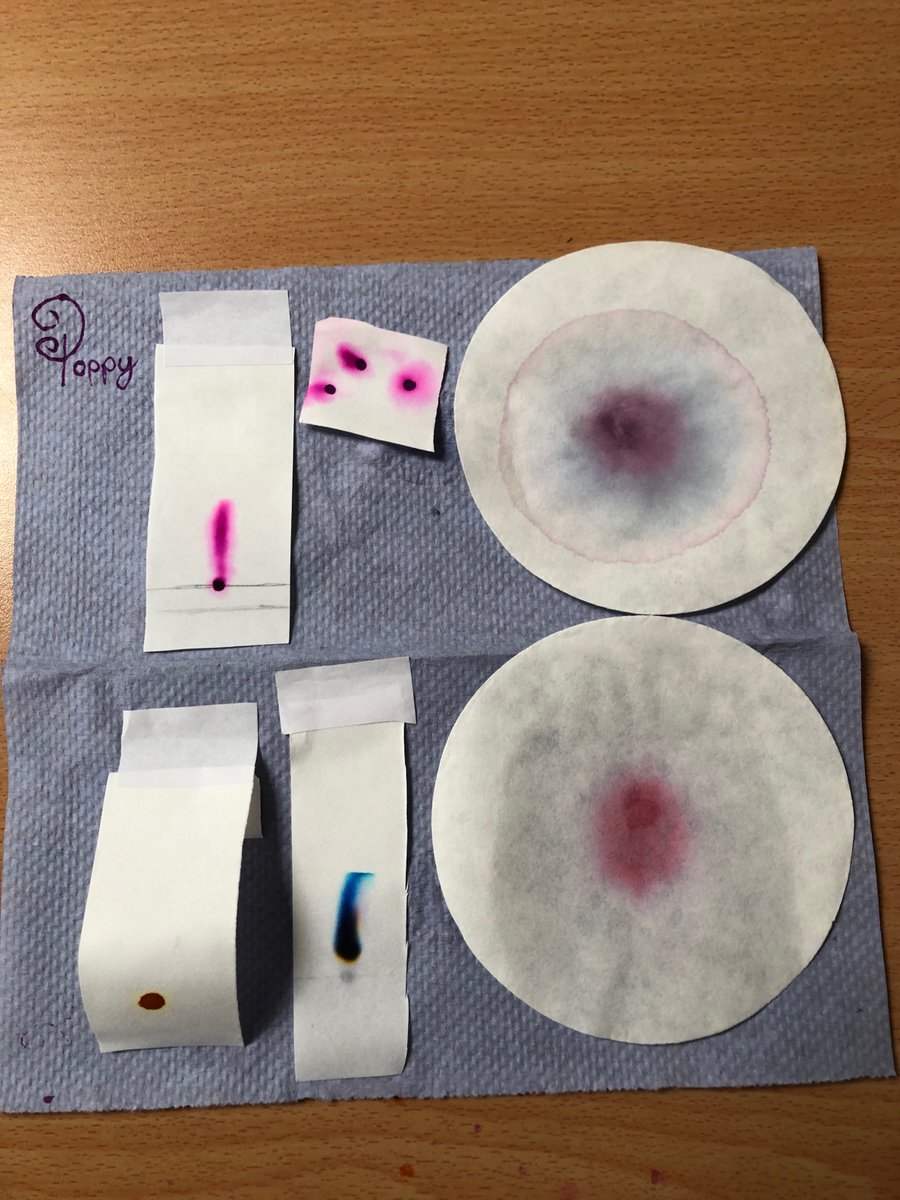 ECSPrepSchool's tweet photo. Science with smarties!
Our Year 8 pupils have been experimenting with Chromatography.
Lessons are always fun when chocolate is involved!
#science #scienceatschool https://t.co/72tfwEqz6C