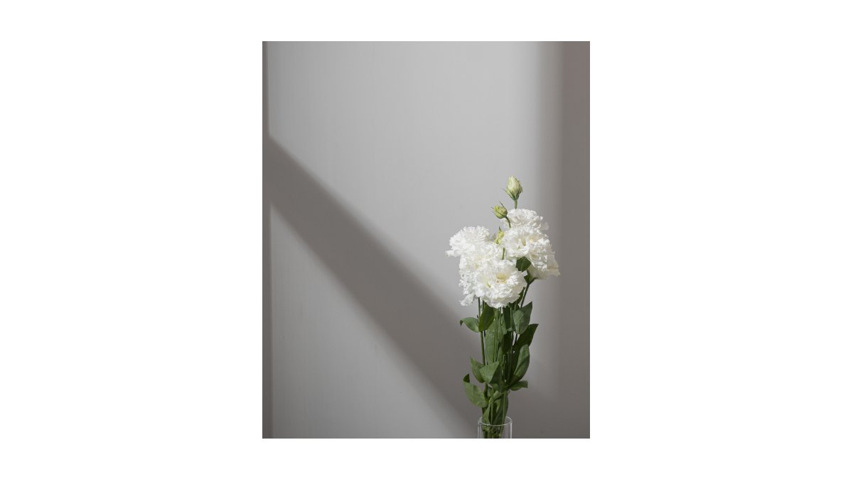 RURIWorld's tweet photo. The breathtaking simplicity of nature. Welcome Spring!
.⁠
#ruriworld ⁠
#inspiration⁠
#ethicalfashion ⁠
#slowliving ⁠
#wearandcare ⁠
#wasteless ⁠
#recyclemorewasteless ⁠
#lessismore⁠
#ecochic⁠
#zerowaste⁠
#earthfriendly⁠
#carbonneutral https://t.co/XLTNE9UYYq