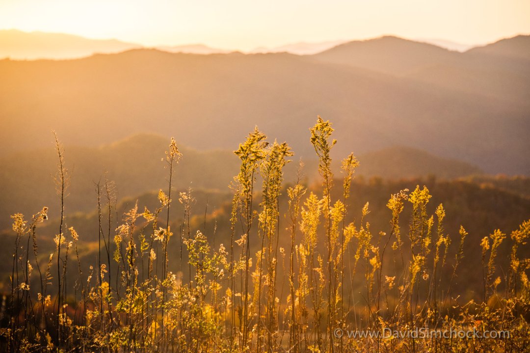 DavidSimchock's tweet photo. Thursday - SUNRISE / SUNSET

Sunrise - Max Patch Mountain / Appalachian Trail (NC)

📷 Photo © David Simchock

#nature #fineart #fineartphotography #sunrise #sunset #landscapephotography #landscapephotographer #maxpatch https://t.co/aHSgNXeXxJ