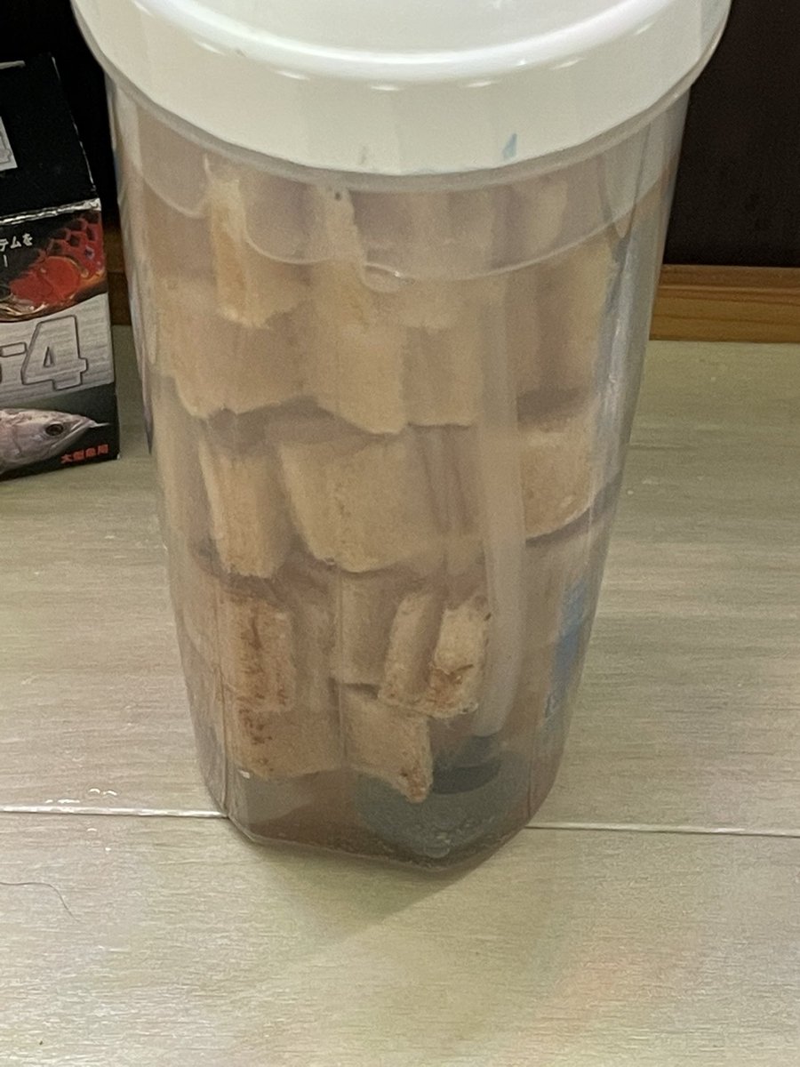 バフィー バフィー