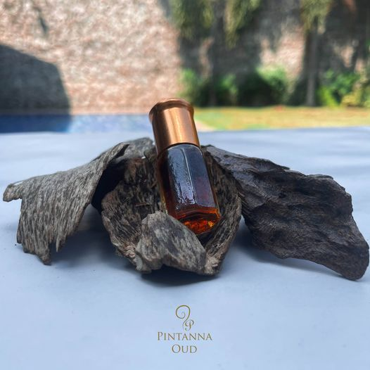 Pintannagroup's tweet photo. Pintanna Group is excited to launch Pintanna Oud Oil (Pvt) Ltd. Today! https://t.co/W8OCen1hKv