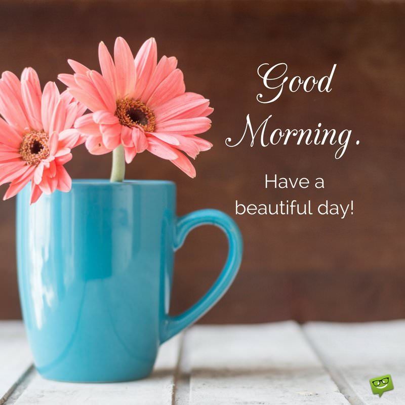 MzESmith's tweet photo. Make the most of this day! Laugh, love, read, live, learn, play, dream and just be happy! Live every moment! Happy Thursday! https://t.co/SfeJVsj5K3