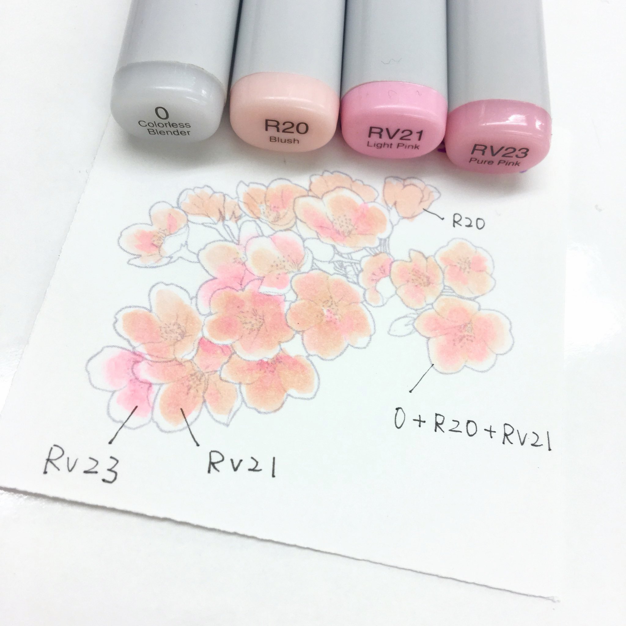 コピック公式 Copic Official ピンク色が強めの桜におすすめのカラーをご紹介 Rをざっくり塗り 塗ったところが乾ききらないうちにすぐにrv21で中心を少しぼかします 更に少しだけrv23を差し色に使い Rでぼかせばふんわり可愛い桜が完成 コピック公式 Copic Official ピンク色が強めの桜におすすめのカラーをご紹介 Rをざっくり塗り 塗ったところが乾ききらないうちにすぐにrv21で中心を少しぼかします 更に少しだけrv23を差し色に使い Rでぼかせばふんわり可愛い桜が完成