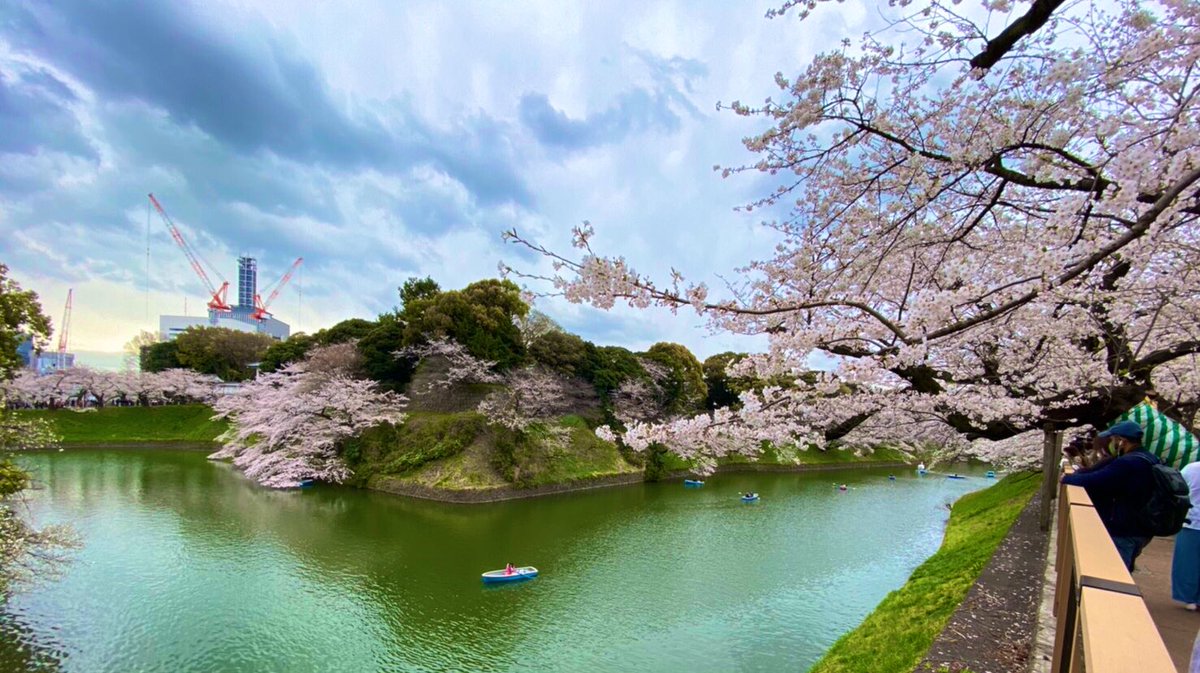 _fkfky's tweet photo. 春がきた🌸 https://t.co/c7OUHfYeEV