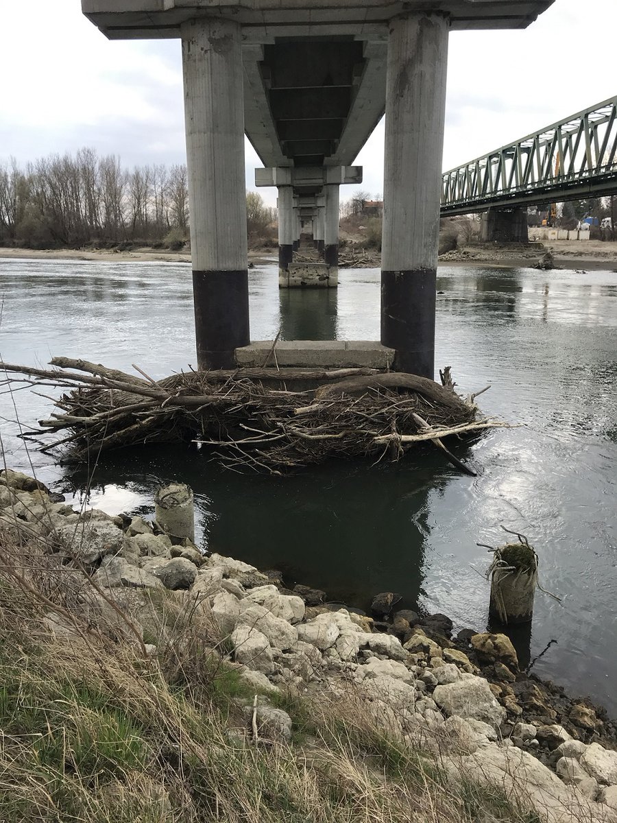 DHMZ_HR's tweet photo. Jučer smo iskoristili niske vodostaje rijeke #Drava te na profilu #Botovo pri vodostaju od -13 cm naša #hidroDHMZ terenska ekipa izmjerila je protok od 146 m3/s.
Ti podaci će biti od velikog značaja za evaluaciju protočnih krivulja u malim vodama za ovu hidrološku postaju. https://t.co/tqWyApCKbV