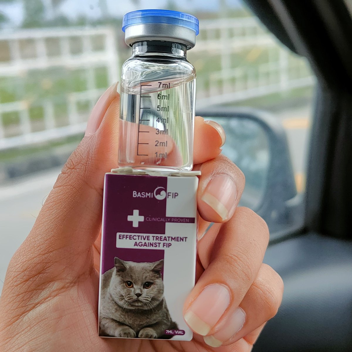 adibahhanun's tweet photo. Alhamdulillah, I've just received our first vial of GS-441524 from Basmi FIP, did the first jab today and everything is good!
Hopefully, Noah will respond well to the treatment β€οΈ Road to another FIP survivor under my care!
#basmifip #fipwarrior #kucingfip #fipcat #gs441524 https://t.co/0dOYpqGGzb