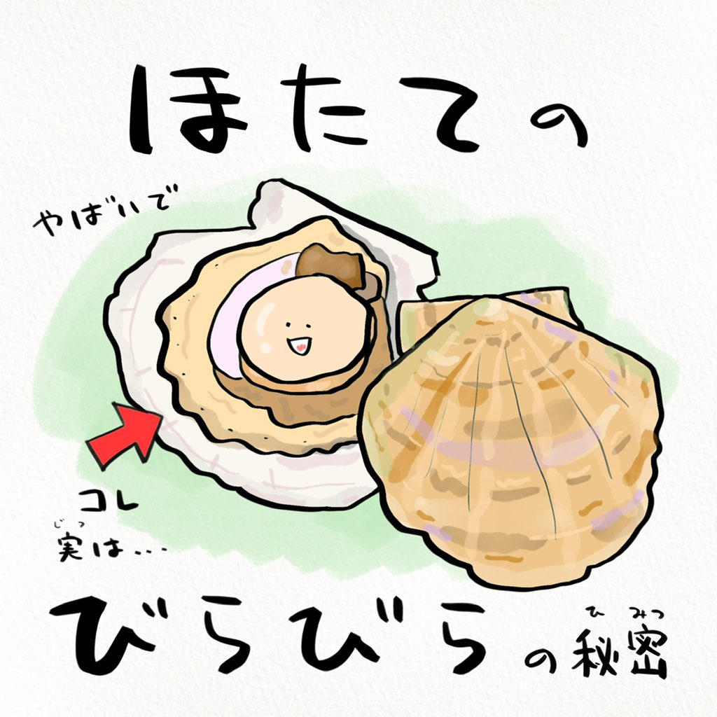 北海道民でも知らないかもしれないホタテのビラビラのお話がちょっと怖い 知りたくなかった Togetter 北海道民でも知らないかもしれないホタテのビラビラのお話がちょっと怖い 知りたくなかった Togetter