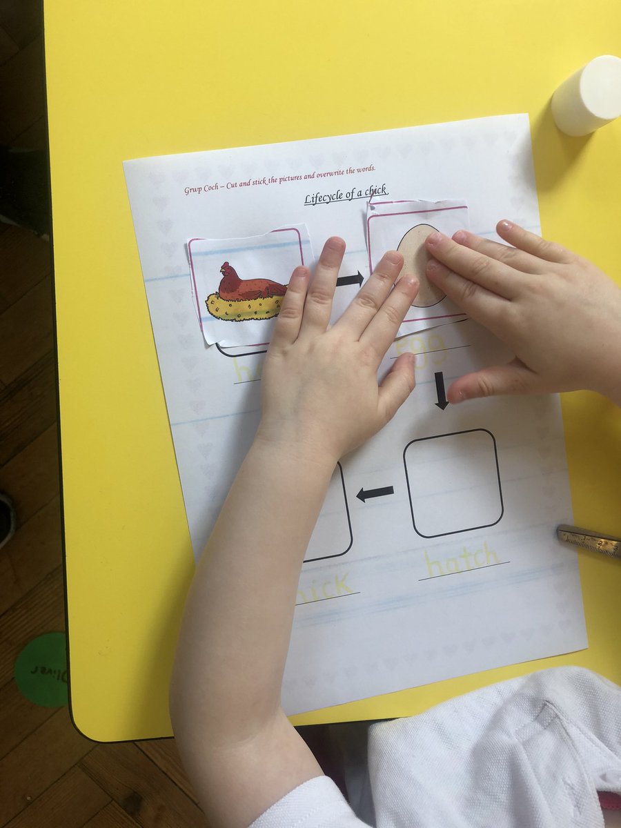 BubsyTownhill's tweet image. Chick chick chick chick chicken.. lay a little egg for me! We’ve been learning all about the lifecycle of a chicken. 🐓🥚🐥 #tcsreception #tcsscience