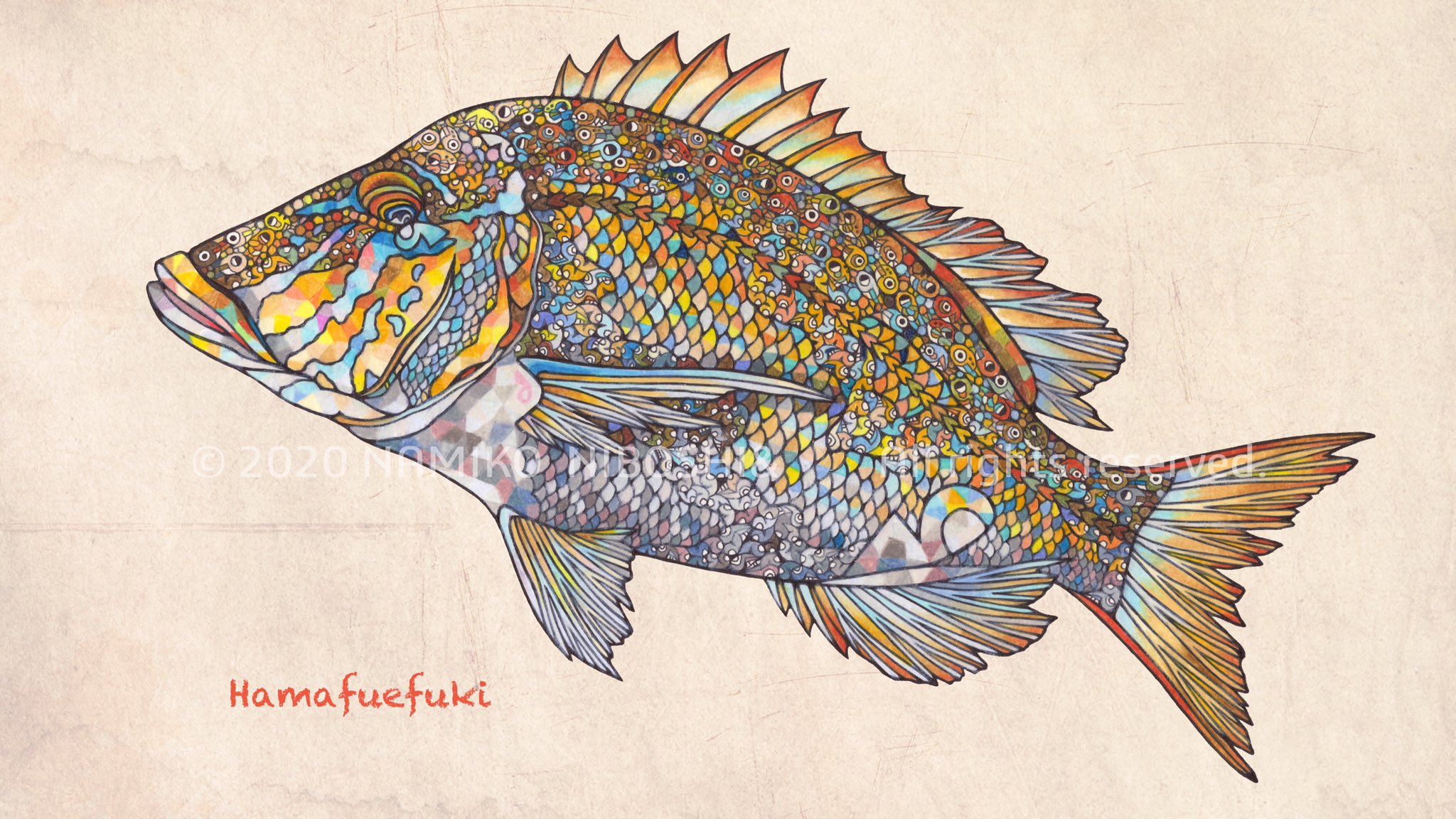 Namiko Niboshi イラスト図鑑 ハマフエフキ File234 沖縄でタマンって呼ばれてる魚 イラスト 魚 ハマフエフキ タマン ブセナ海中公園 海中展望塔 T Co Chrywdppdw Twitter