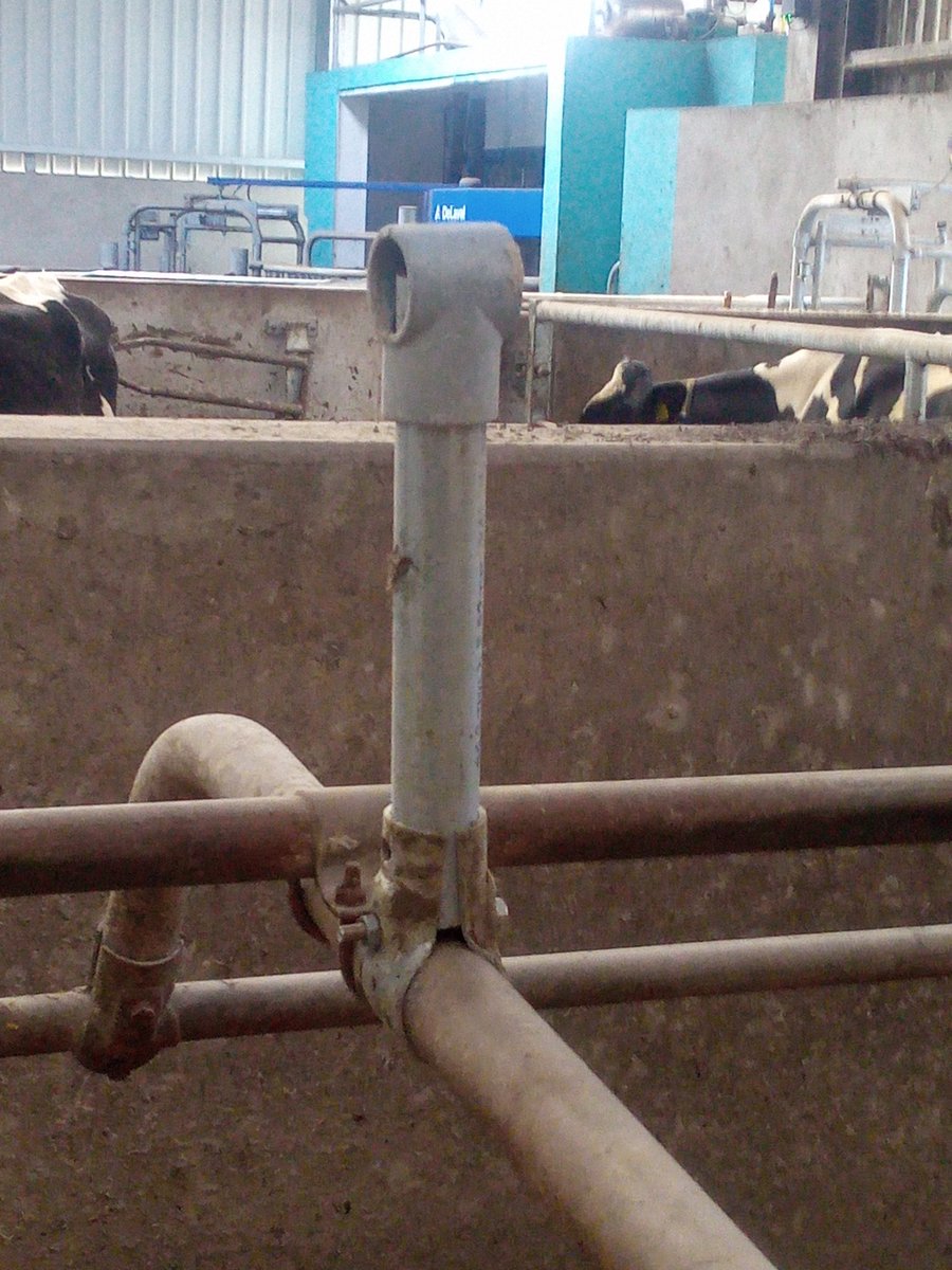 Ballymacarn Holsteins tweet media