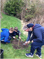 NCEA_WL_Primary's tweet photo. We now have a mini orchard made up of apple, cherry, pear and plum trees sent to us by @WoodlandTrust Well done to boys and girls who helped to plant them. #MiniOrchard @primarydirector https://t.co/bMcA9CG8s2