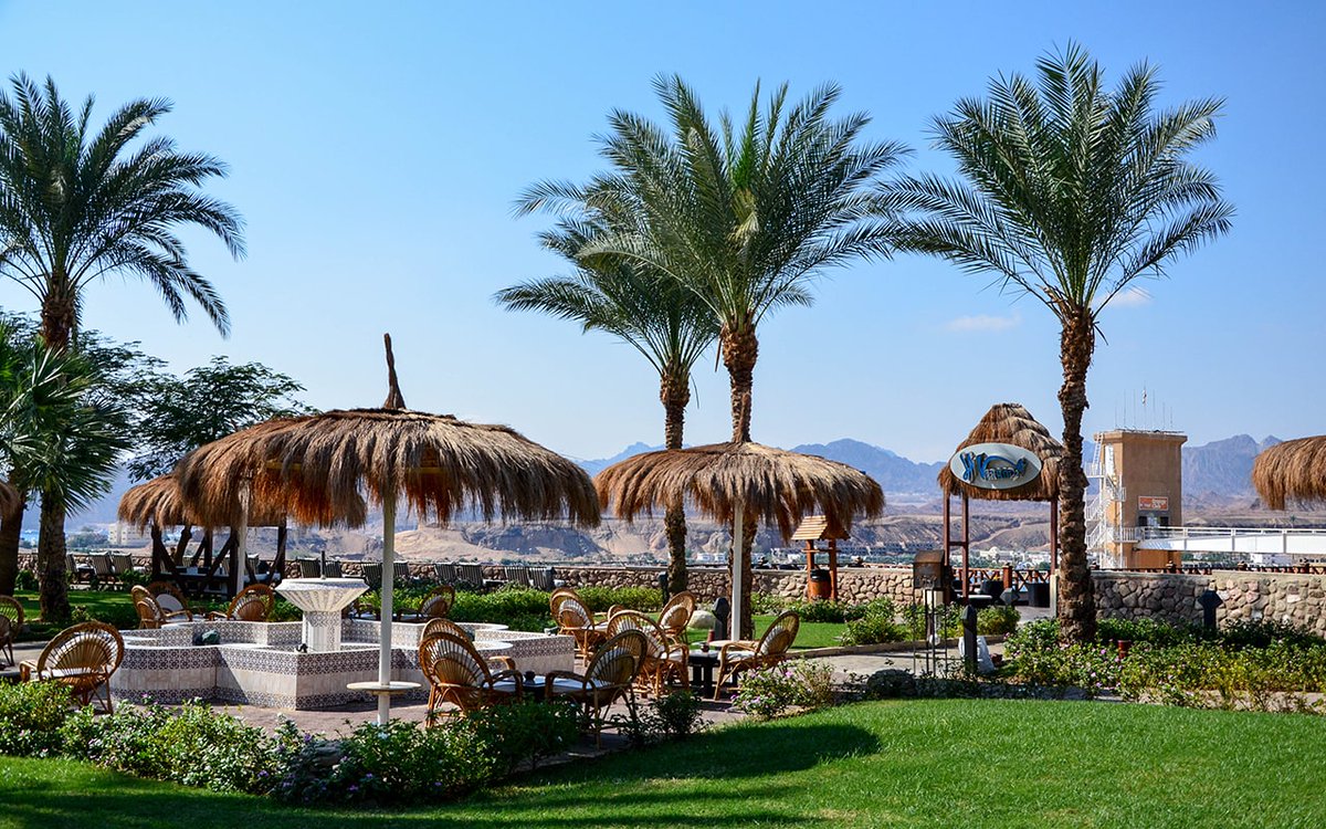 Albatros sharm ex. Бич альбатрос резорт шарм-эль-шейх. Albatros sharm ex. Бич альбатрос шарм 4 египет. Бич альбатрос шарм 4 египет.