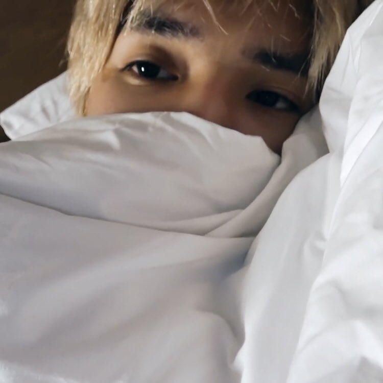 tyongiesoft's tweet photo. 💤 https://t.co/Vi2sOMFupB