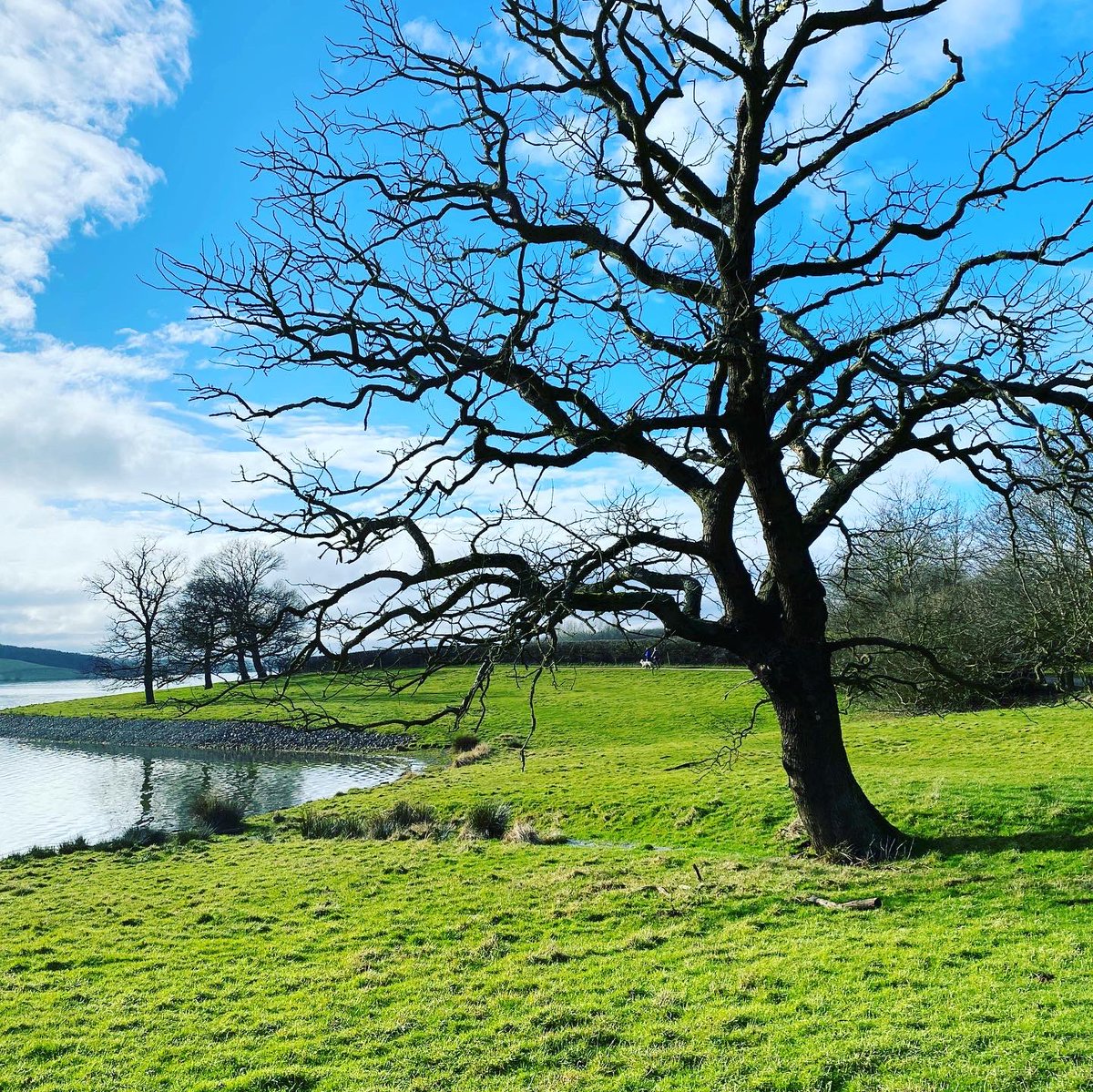 arcusrutland's tweet photo. Beautiful spring day up at Hambleton peninsula #arcusrutland #oakham #rutland #SpringIsComing #rutlandwater https://t.co/Ta8TNo8Amo