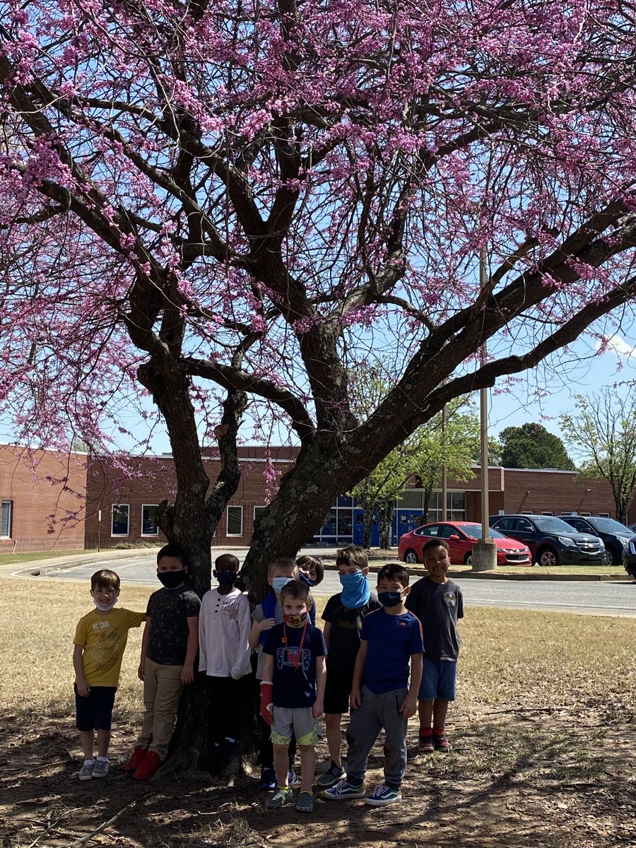 Exploring and Discovering signs of Spring around our school 🌸🎋#BESties