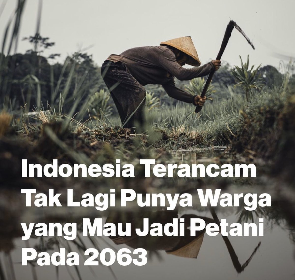 dream country anak muda tinggal di negara norwegia, swedia, dan negara skandinavia lainnya. tapi males jadi petani~ 2beer!