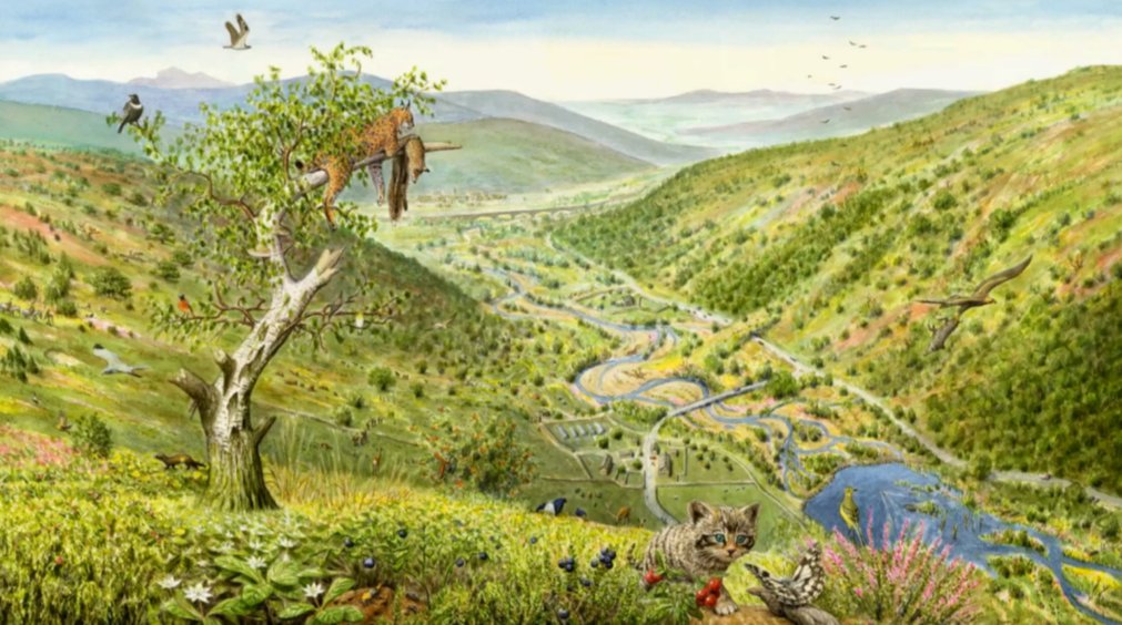 aaron_filler's tweet photo. What could #rewilding in the UK look like? 

Rebecca Wrigley from @RewildingB spoke today at the @talklandscape #GreenerRecovery event about rewilding both our urban and rural spaces, and shared this amazing inspiring image. This is possible by 2030 - if we start now!
#LICPDDAY https://t.co/sNEkxOnDHa
