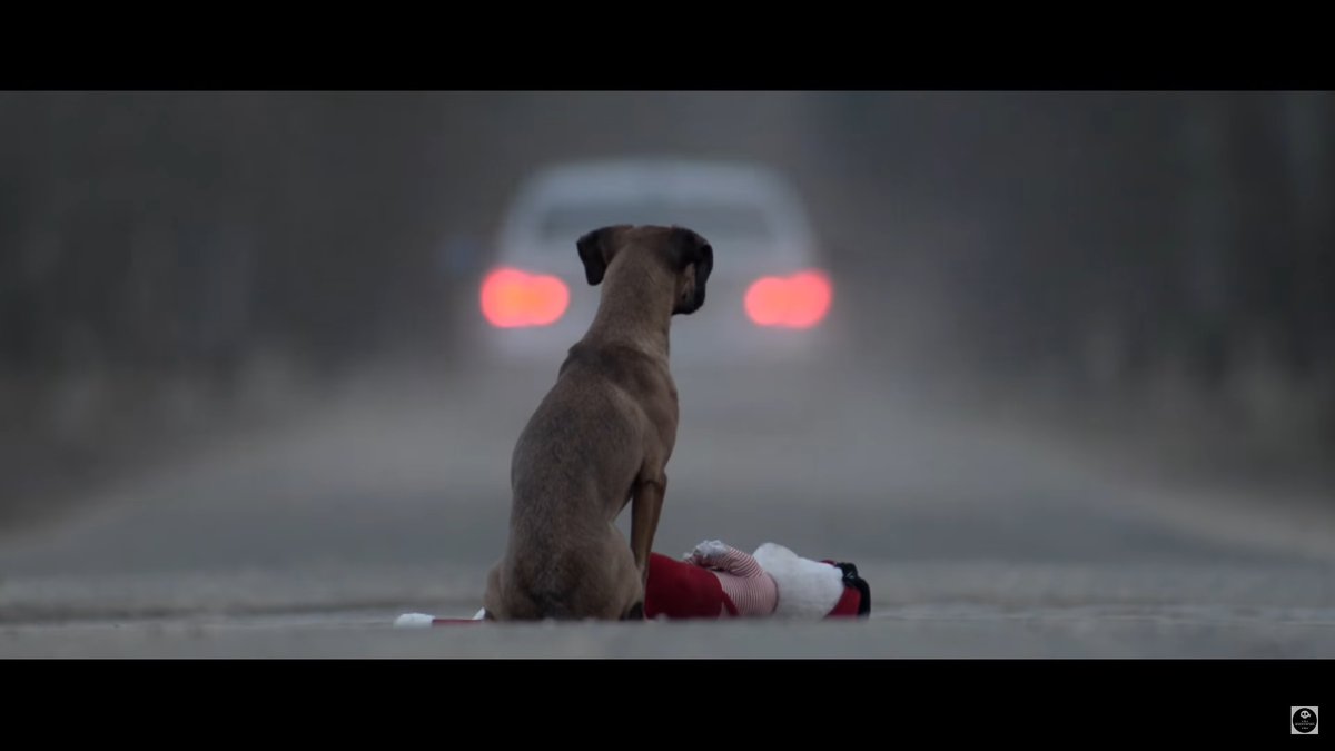 Una de <a href="/loschunguitos/">Los Chunguitos</a>
🎵🎶Hiciste la maleta
Sin decirme adiós 
Ay que dolor
Tu amor me abandonó
Ay que dolor
Y sólo me dejó...
Ay que dolor
Ay que dolor
Ay que dolor🎵🎶
#NoLoAbandones