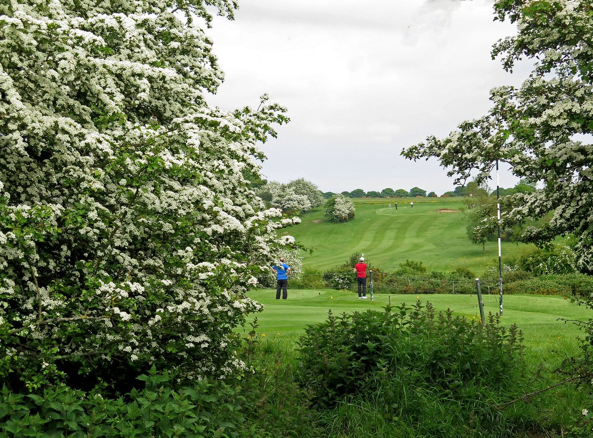 golfingherald's tweet photo. Tee Time booked at @beverleygolf for Monday when all golf courses in England can open their respective doors once again

#cantwait #havetowait #4moredays https://t.co/IbrL7Pxw8r