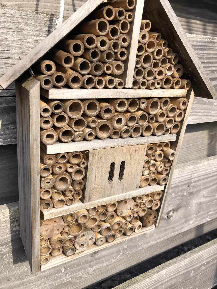 Maak je ook gebruik van het wormenhotel, of laat je je hond wel eens uit in het #Hondenparadijsje? Wat is er toch veel moois te zien in de <a href="/Oosterparkwijk/">Oosterparkwijk</a>!