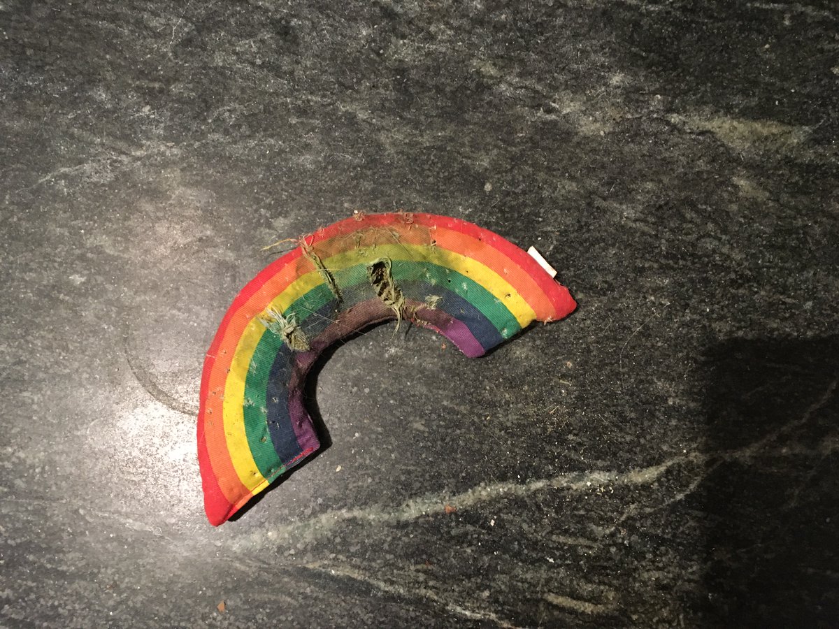 Dorothy14213's tweet image. Me: And so another catnip toy bites the dust
Doodlebug: That was some really good sh- I mean stuff, dude
#niphead #CatsOfTwitter