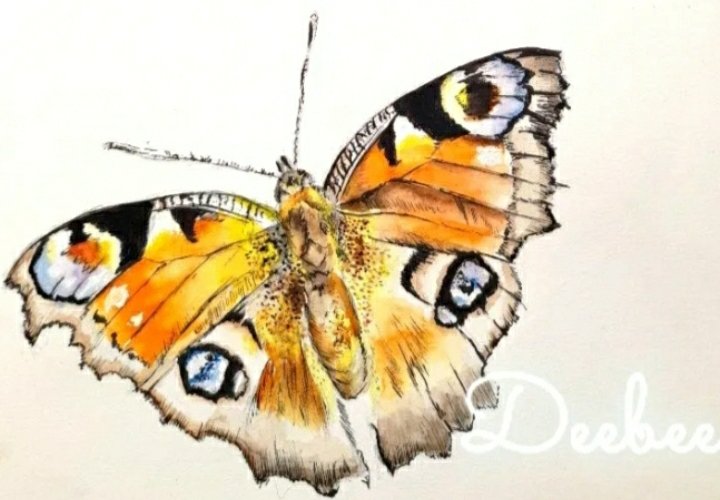 WalesArty's tweet photo. Spotted our first 'painted lady' #butterfly of the year up in #MossValley in #Wrexham #NorthWales 

Longer days, later evenings, #SpringTime is definitely here!

https://t.co/mD7adXcOhA https://t.co/bqmO0ozh4Q