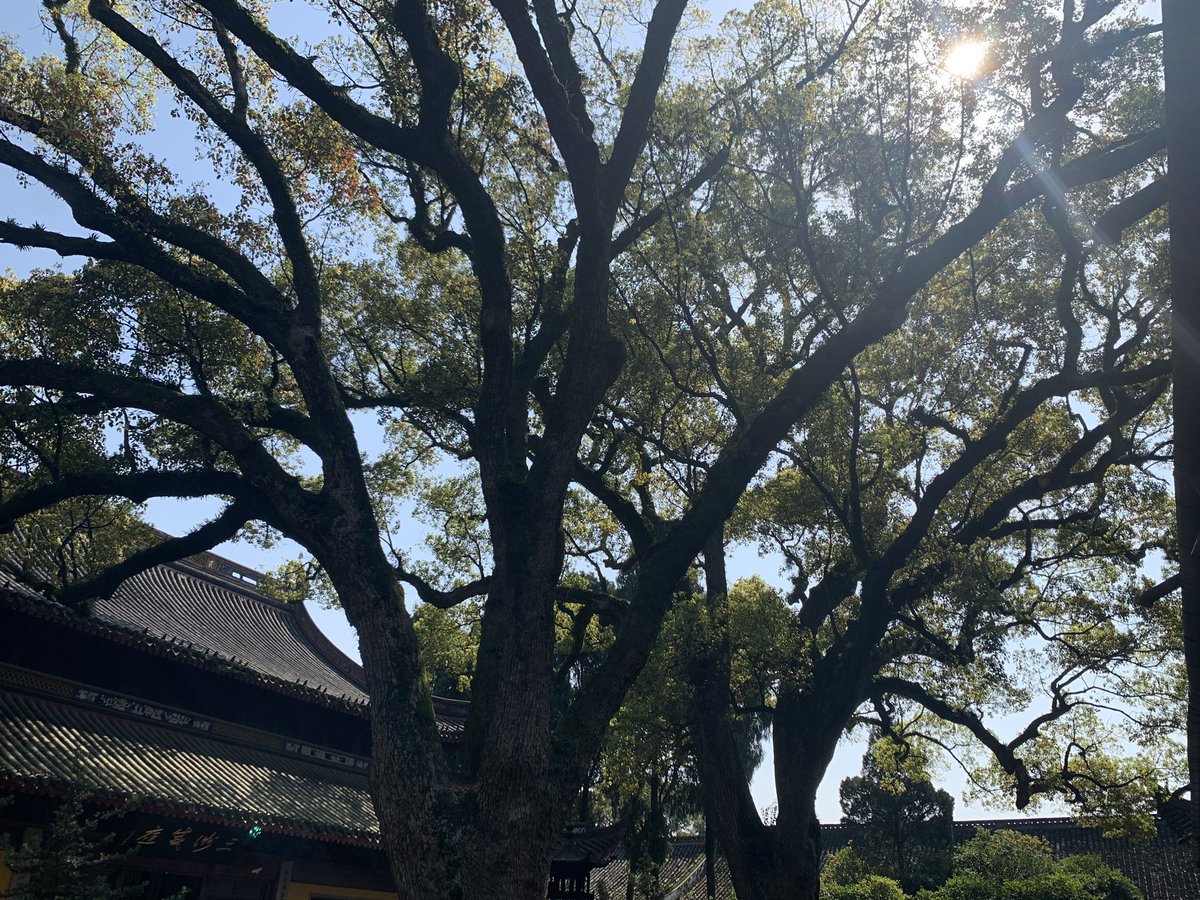 annding962's tweet photo. https://t.co/8geq5HuVQm