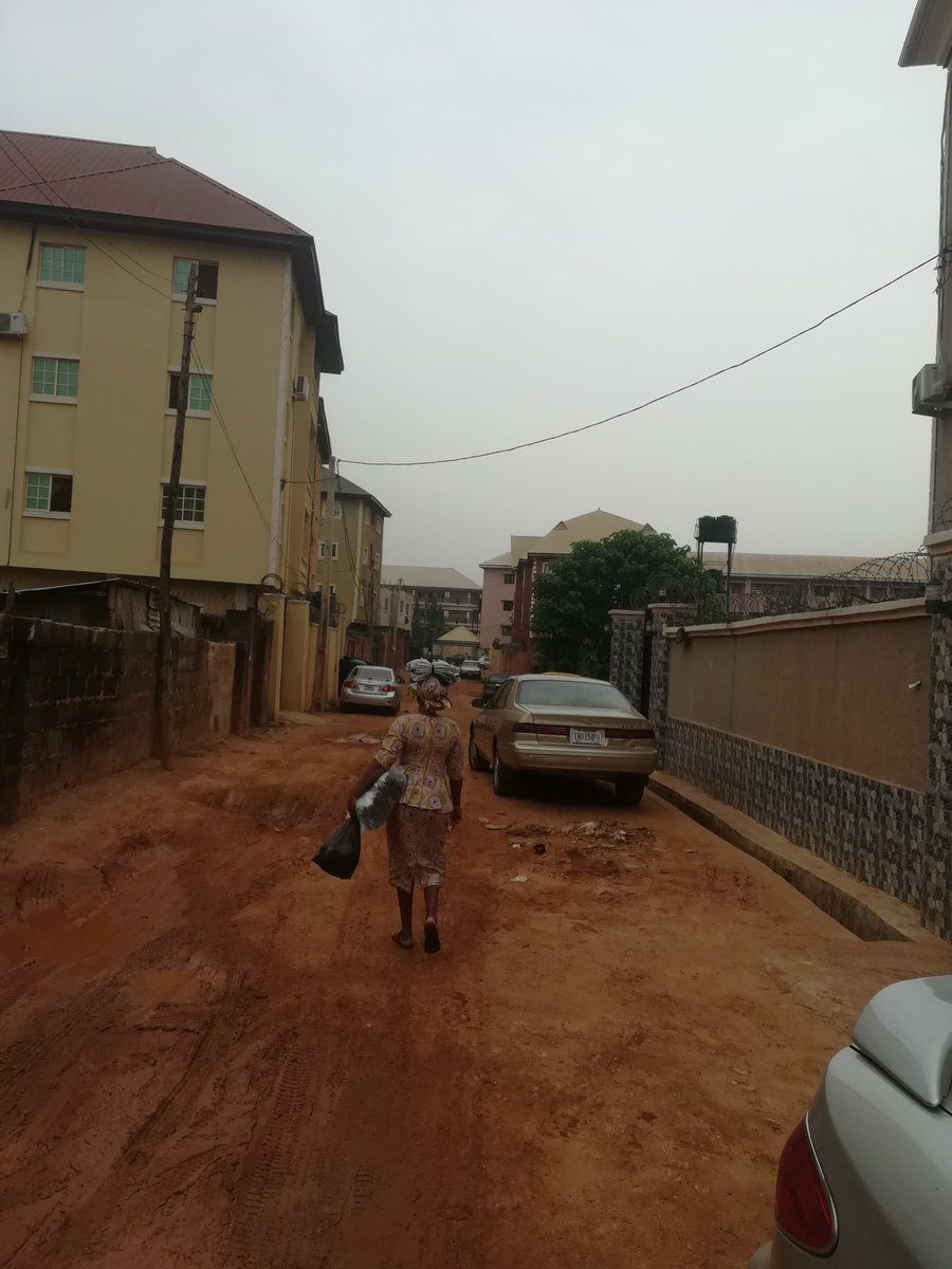 This is a Gmelian arborea tree which is located just opposite my house. This tree provides us with the outdoor shade we need everyday we come out to relax. #IntlForestDay #ForNature #biodiversity <a href="/FMEnvng/">Environment Ministry</a> <a href="/FAONigeria/">FAO Nigeria</a> <a href="/fmenvforestryng/">Department of Forestry</a> <a href="/FAO/">Food and Agriculture Organization</a>