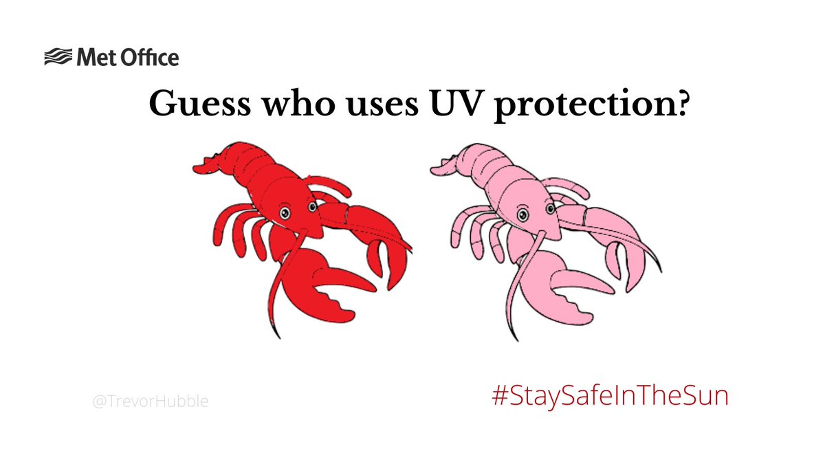 TrevorHubble's tweet photo. Don't be a lobster!

One Minute Brief of the Day: 
@OneMinuteBriefs 
@metoffice
 Encouraging people to #StaySafeInTheSun and even if it’s cloudy protect yourselves from #UV. https://t.co/BCDgGUfuUR