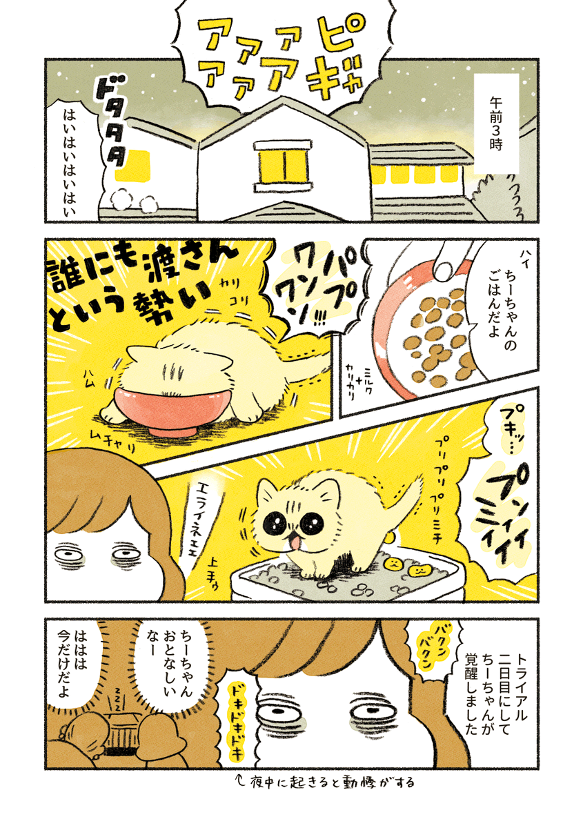 ちーちゃんの覚醒

前のお話はこちら
https://t.co/KG9viWReW2 