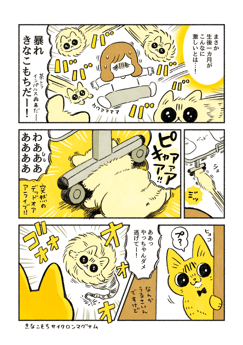 ちーちゃんの覚醒

前のお話はこちら
https://t.co/KG9viWReW2 