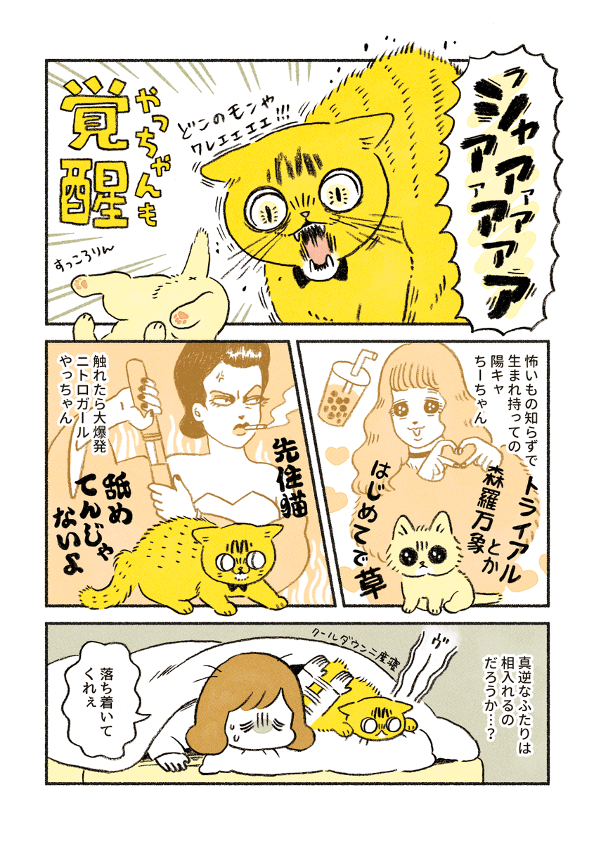ちーちゃんの覚醒

前のお話はこちら
https://t.co/KG9viWReW2 