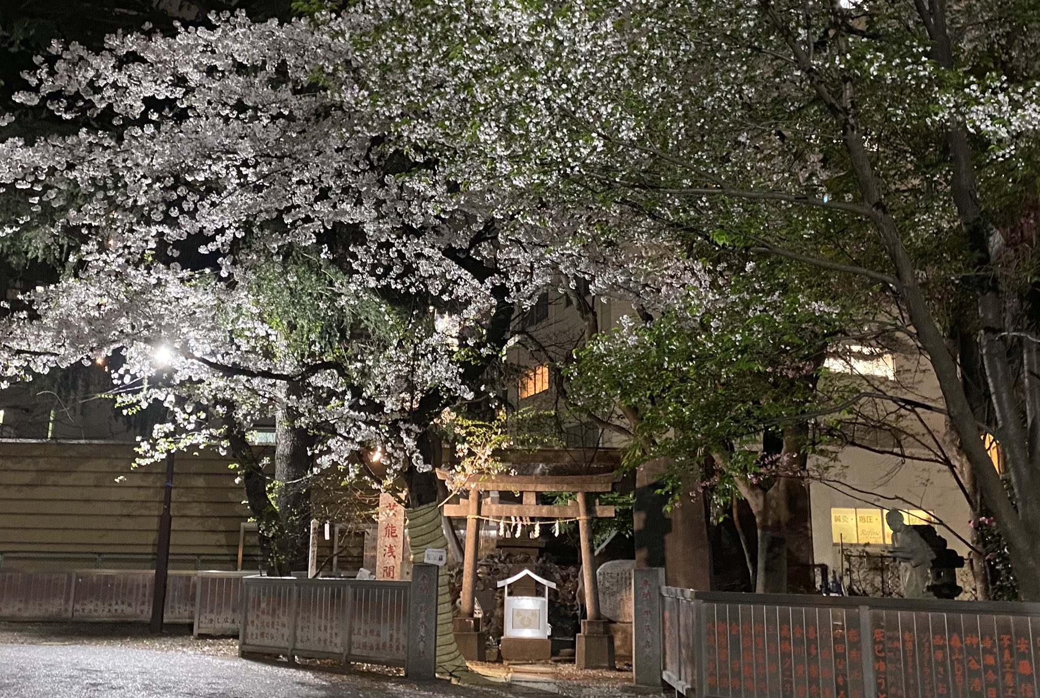 菊千代 今夜も花園神社で花見 藤圭子の聖地 摂社の芸能浅間神社を参拝 藤圭子 宇多田ヒカル 花見 T Co 072bhxx9h9 Twitter 菊千代 今夜も花園神社で花見 藤圭子の聖地 摂社の芸能浅間神社を参拝 藤圭子 宇多田ヒカル 花見 T Co 072bhxx9h9 Twitter
