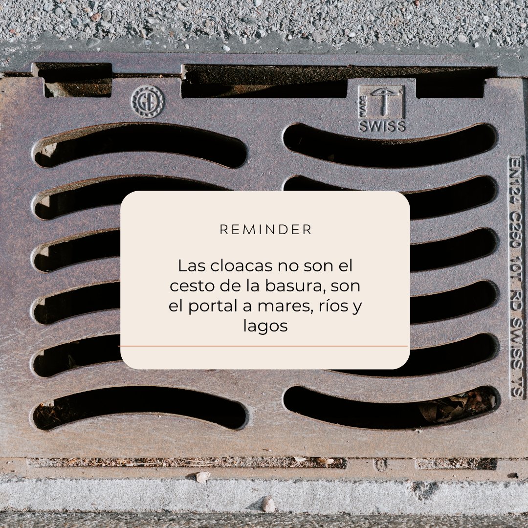 TribaldataSpain's tweet photo. Vivir de manera responsable y sostenible empieza con ser consciente de las cosas pequeñas pero importantes.

#yourdataforgood #sustainableLiving #sostenibilidad #sustainability #awareness #ProtectNature #sustainablecities #SustainableDevelopment #ciudadessostenibles #naturaleza https://t.co/0PH8LjjxBe