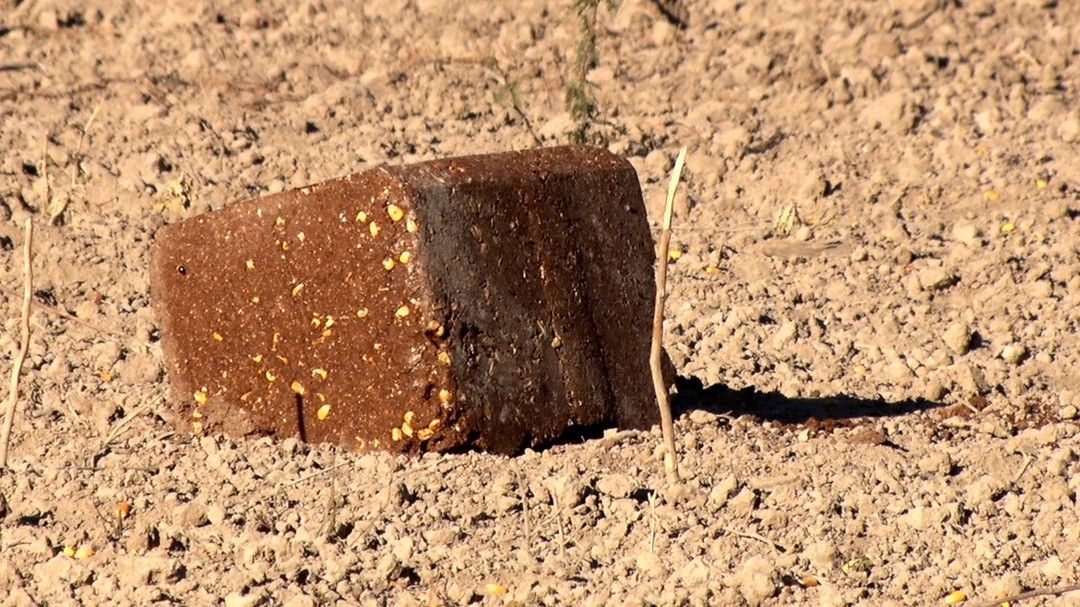 WTD_tv's tweet photo. How it started vs How it's going.
Record Rack's Deer Blocks are highly palatable so deer won't feel like they're eating a jaw breaker!
#recordrackfeed #deerblocks #deermanagement #supplmentalfeed https://t.co/tUSOQkpG9c